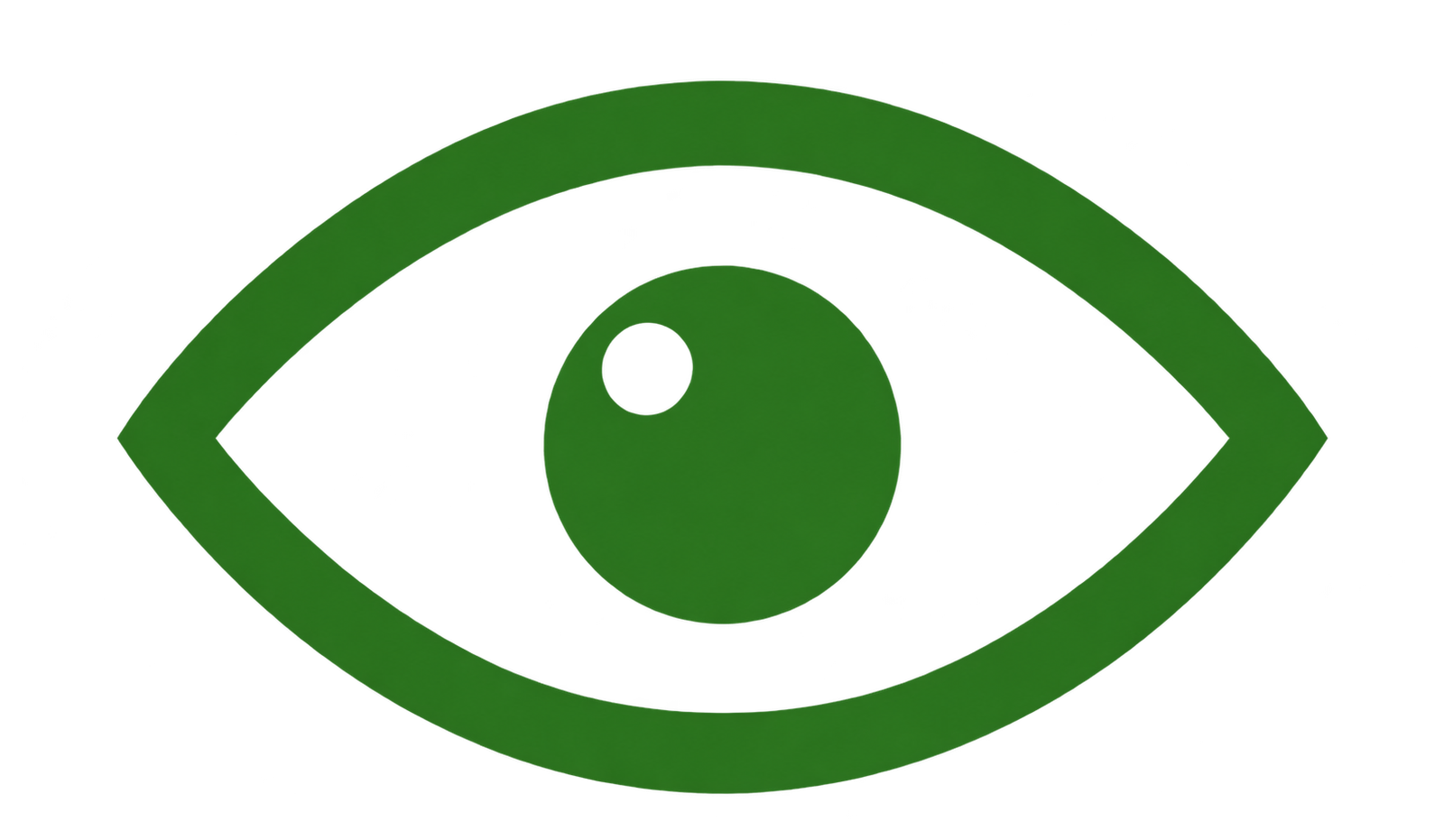Our Vision